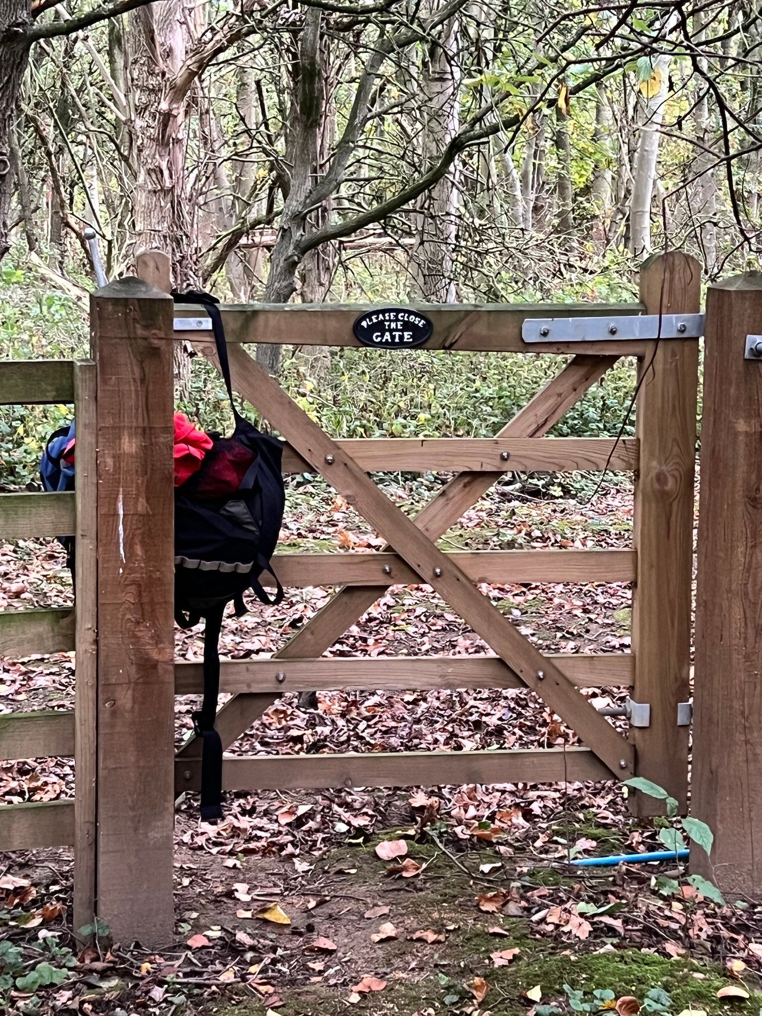 gate woodland trail