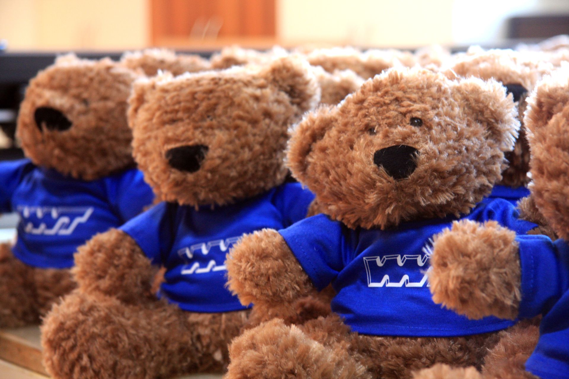 Eine Reihe von Teddybären in blauen Hemden