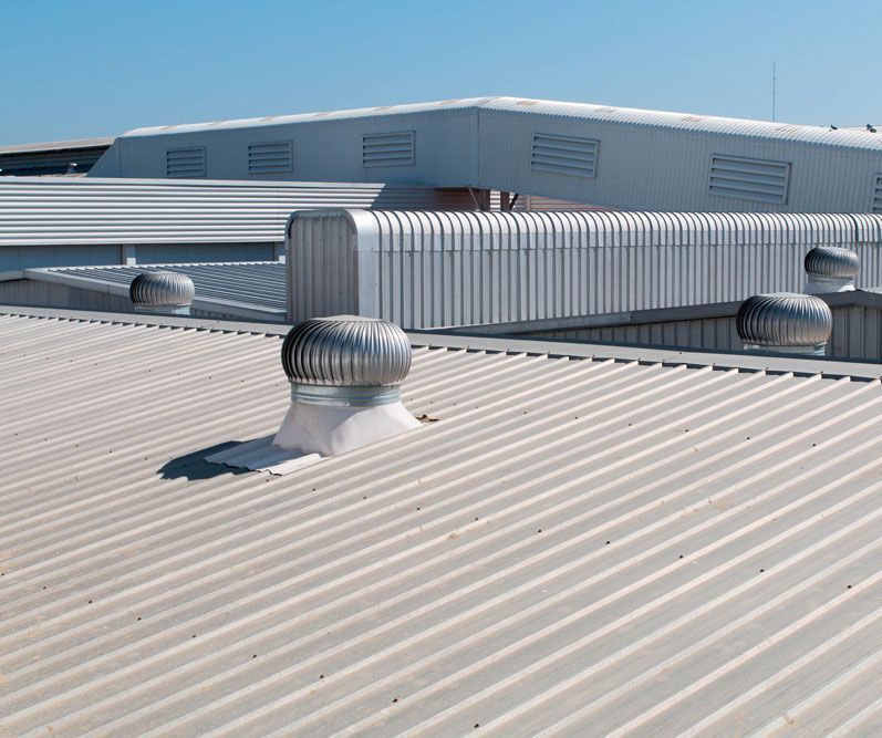 Hogan roof - roof damage