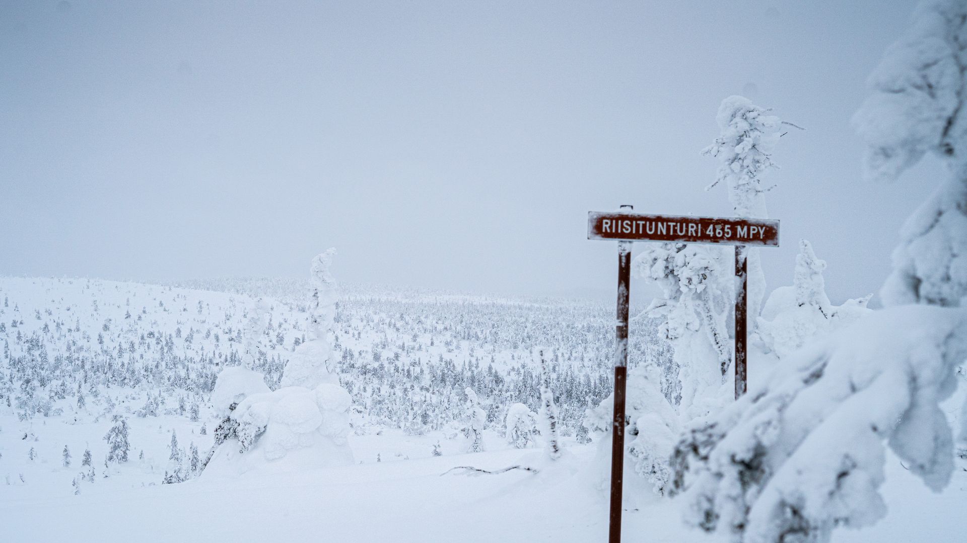 Riisitunturi sign post in snowy tree landscape.