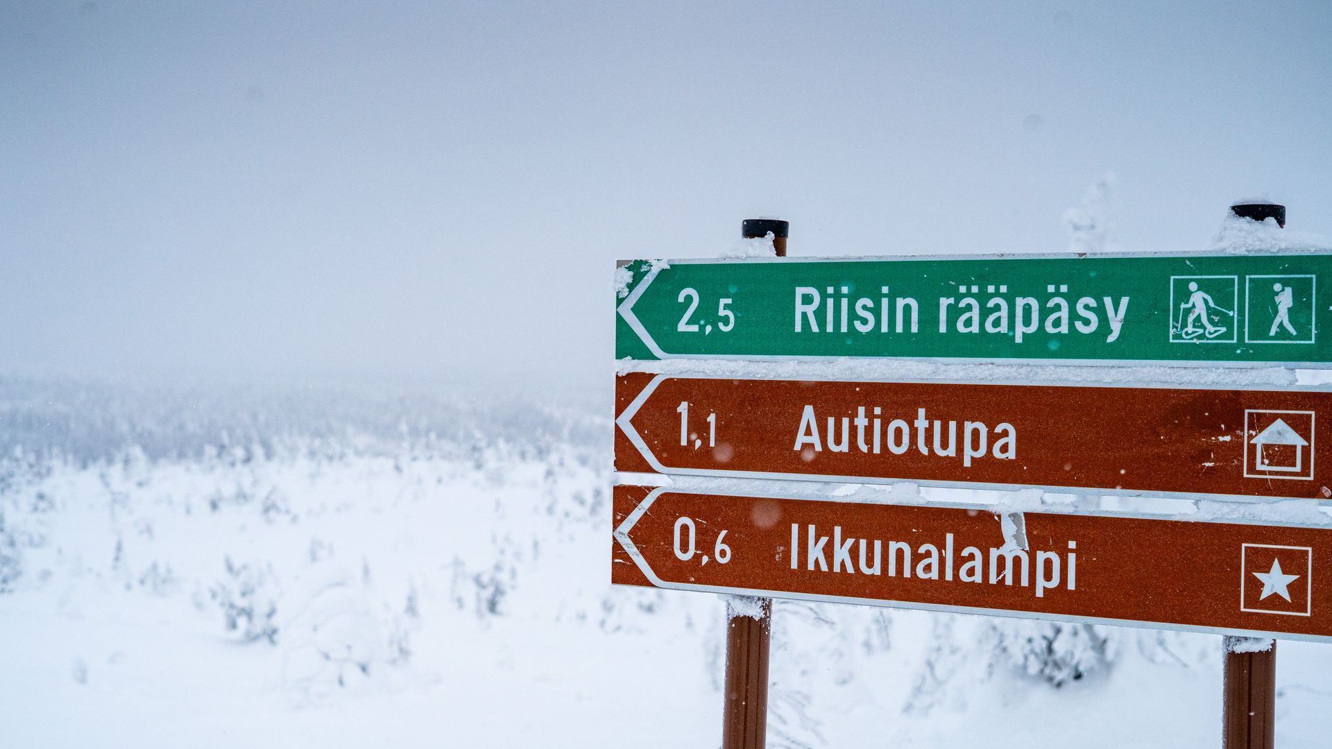 Riisitunturi sign posts in snowy landscape.