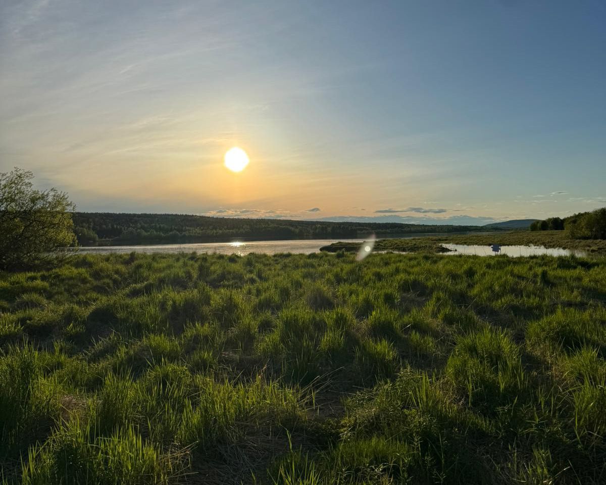 Green river valley with evening sun