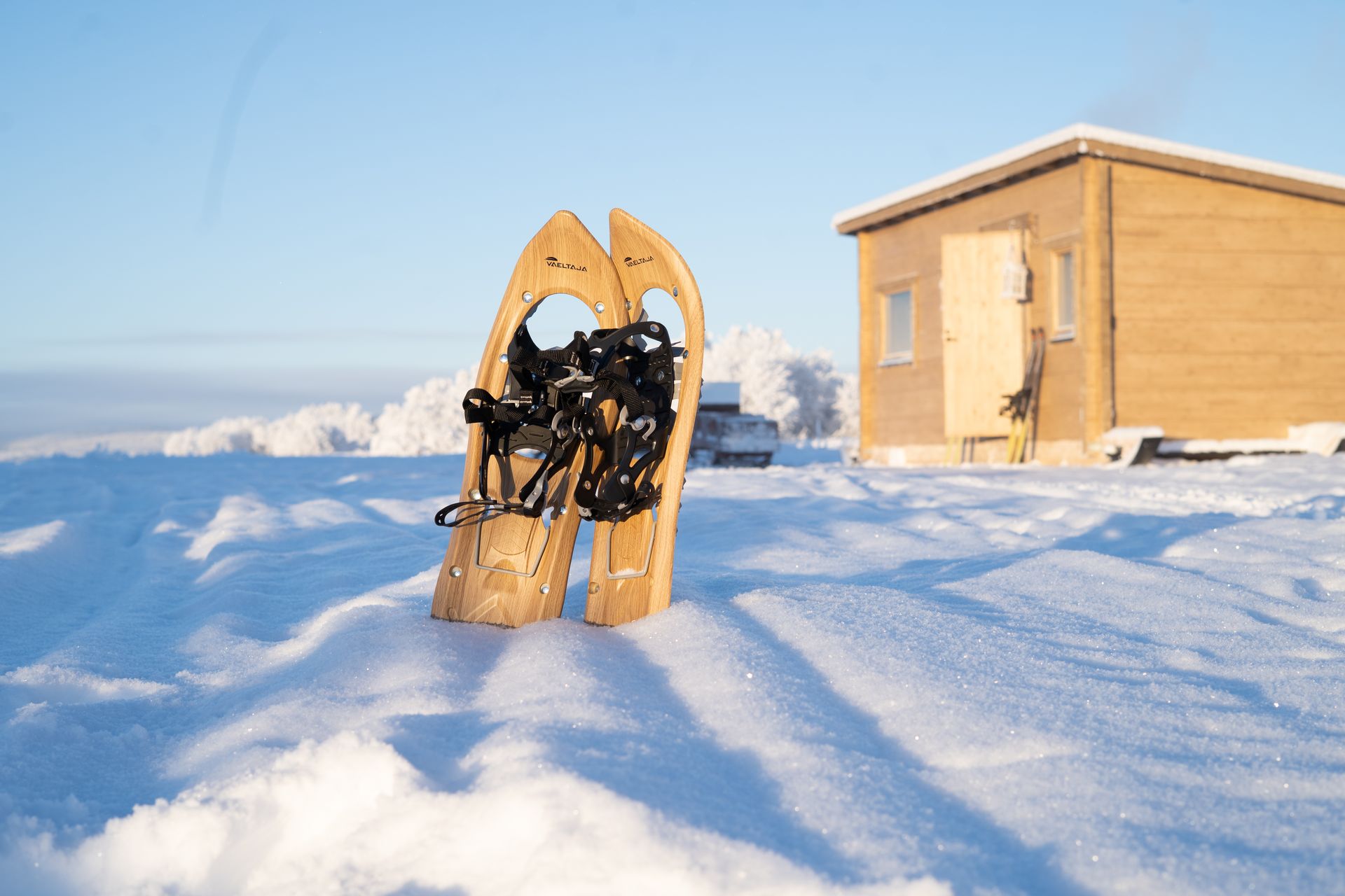 Snowshoes in front of log cabin in snowy landscape.