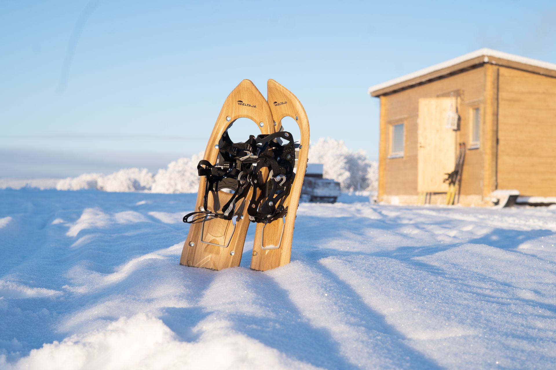 Snowshoes in front of a log cabin in snowy landscape.