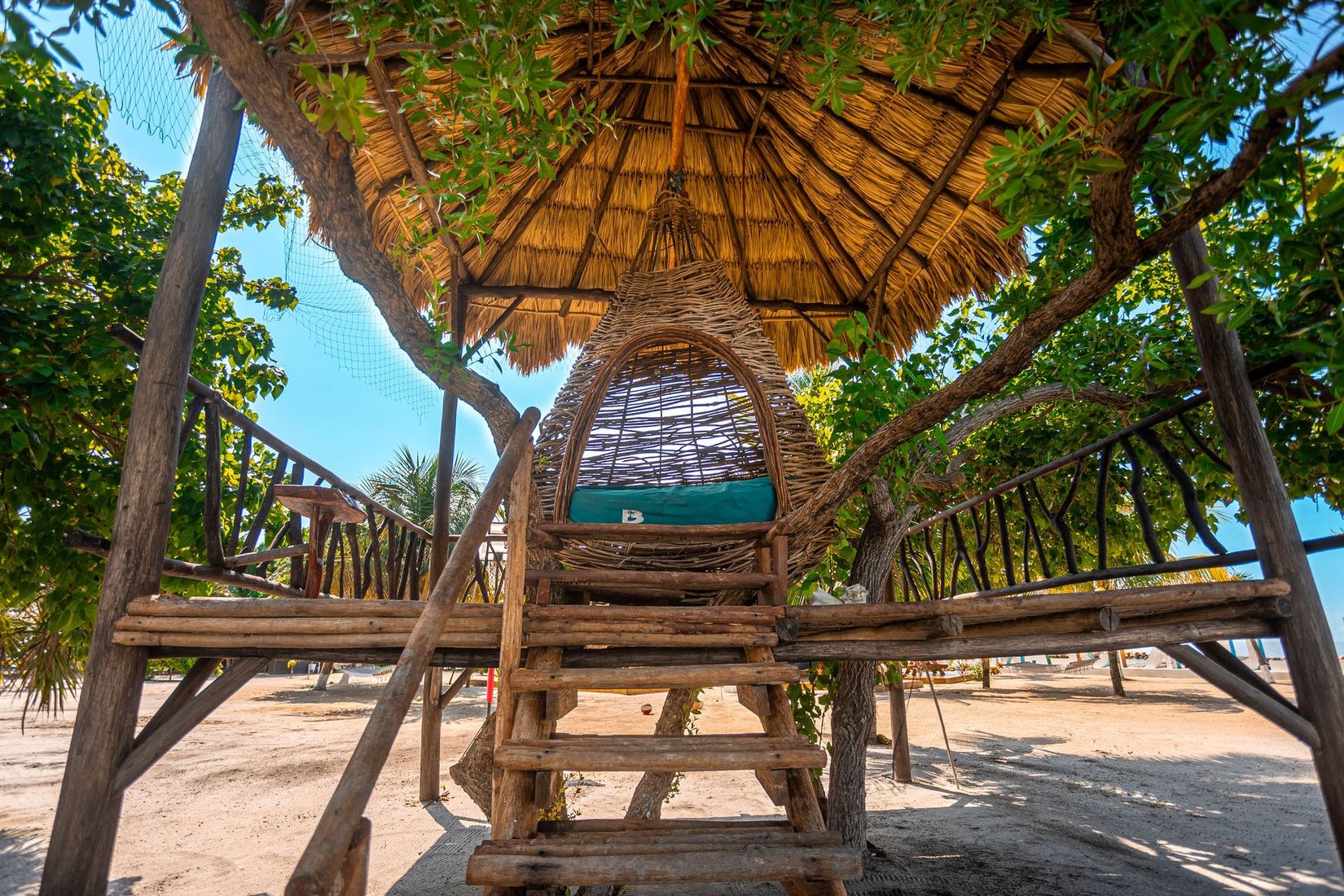 Thatched beach hut with wooden steps, shaded by greenery on a sunny sandy beach