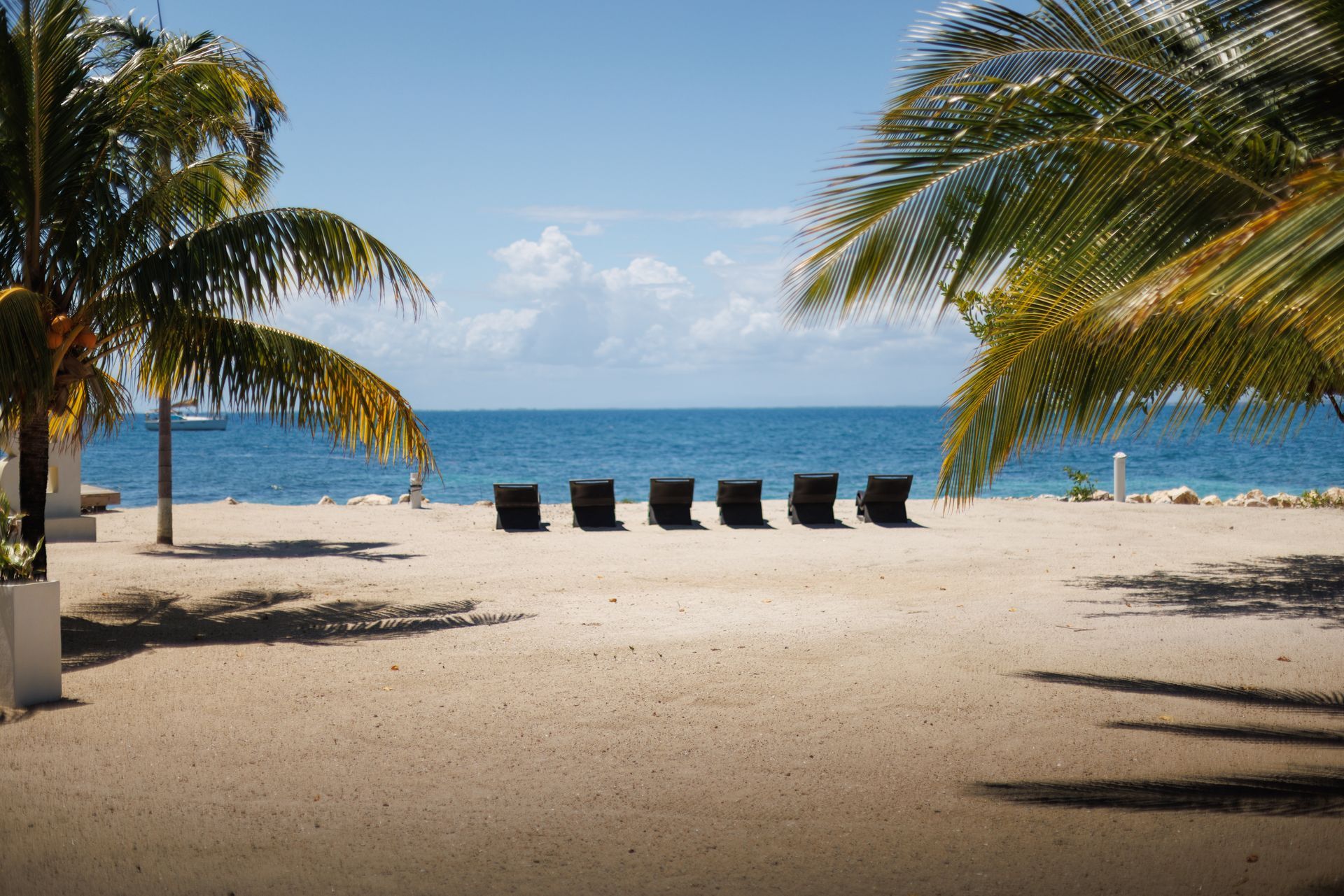 Sargassum free beach surrounding Bullock Island Belize