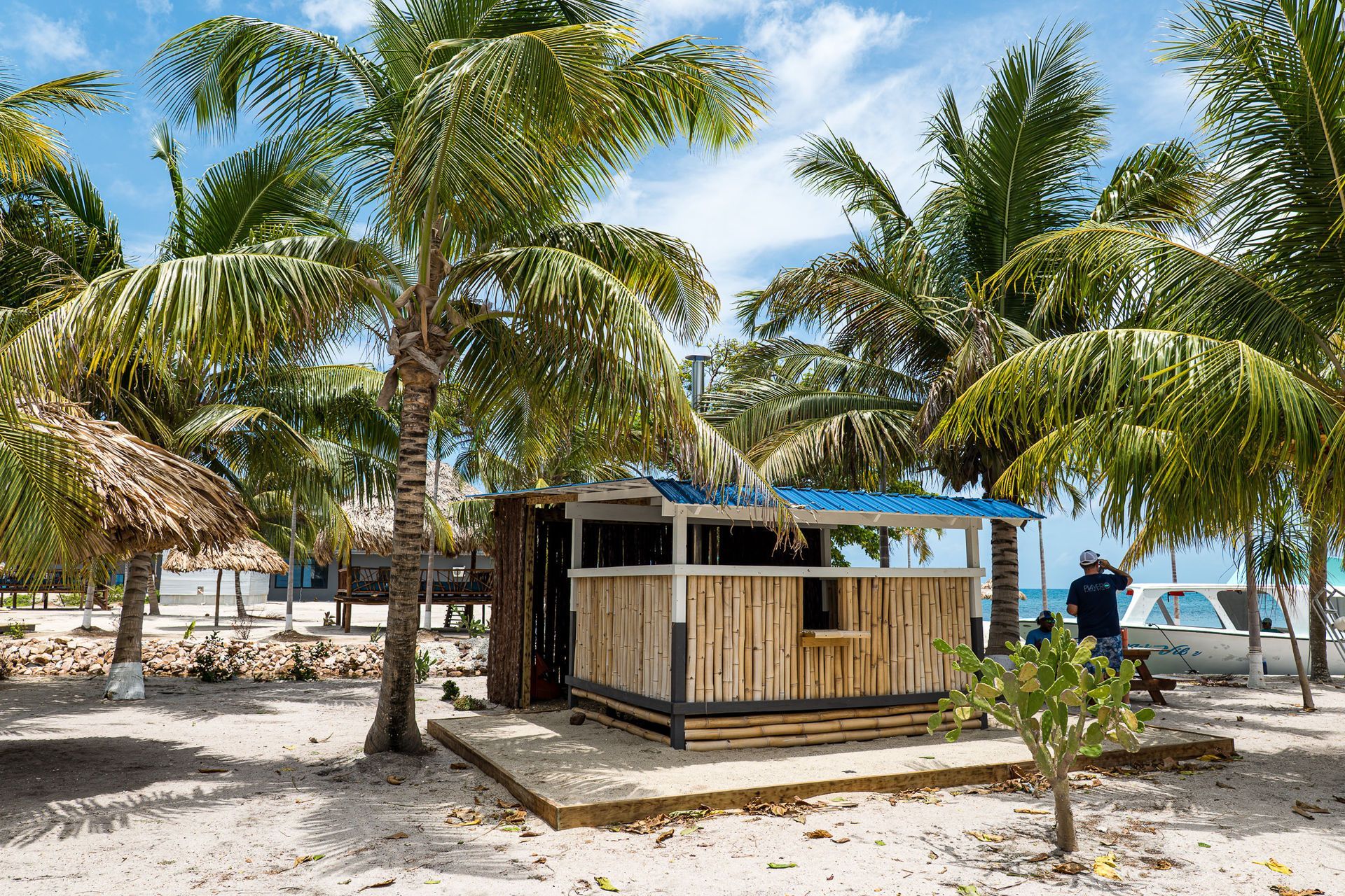 Small bamboo hut on a sandy beach shaded by palm trees under a blue sky.
