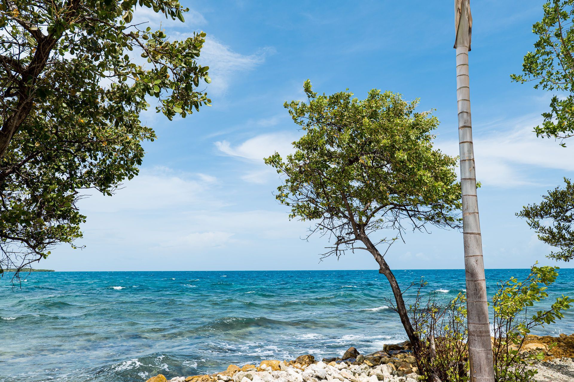 Ocean view with trees and a bright blue sky.