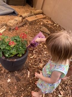 A Child is Watering Plants in a Garden β Gap Community Early Learning Centre In The Gap, NT