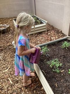 A Child Is Watering Plants in a Garden β Gap Community Early Learning Centre In The Gap, NT