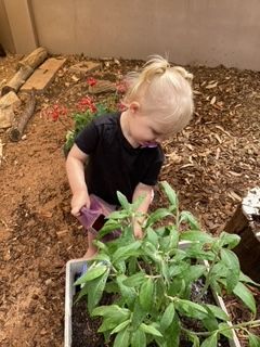 A Child Watering A Plant β Gap Community Early Learning Centre In The Gap, NT