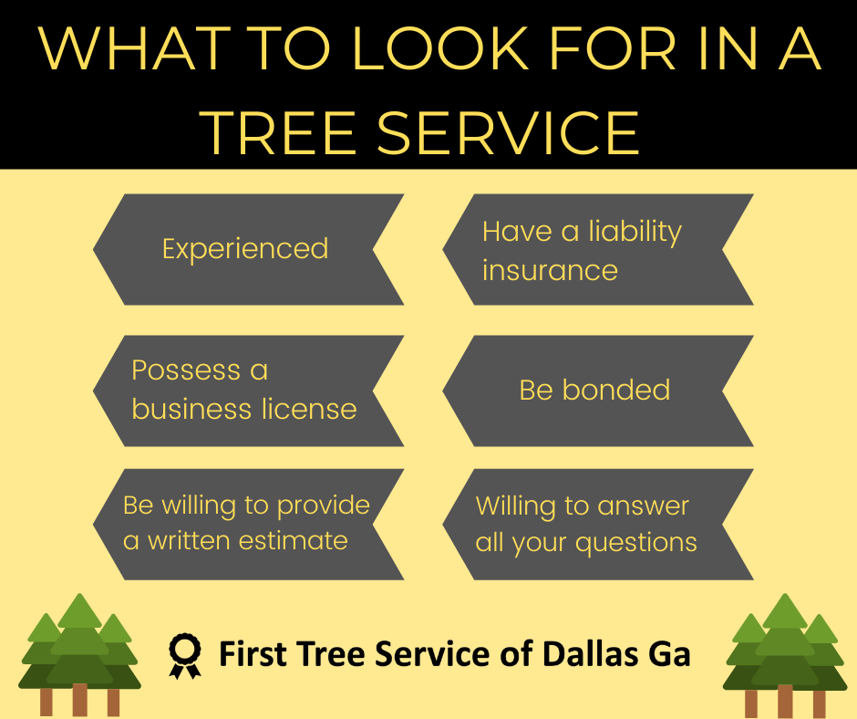 Tree Service Dallas Ga | What to look for | First Tree Service of Dallas Ga