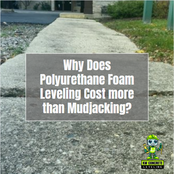 Polyurethane foam cost