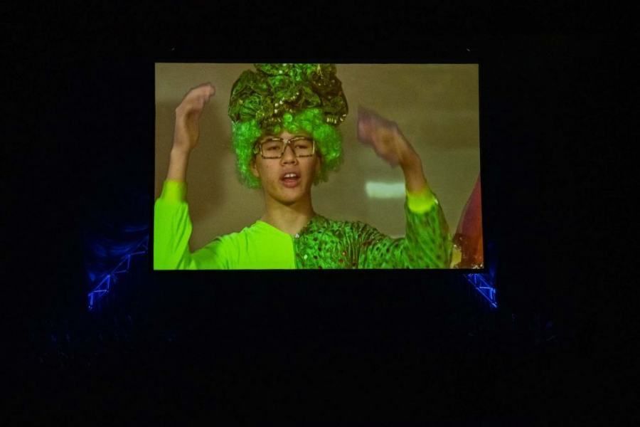 A man is wearing a green wig and glasses.