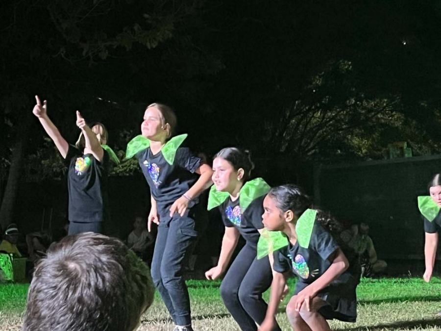 A group of young girls are dancing in a field at night.