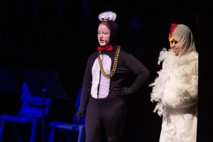 A cat and a chicken are standing next to each other on a stage.