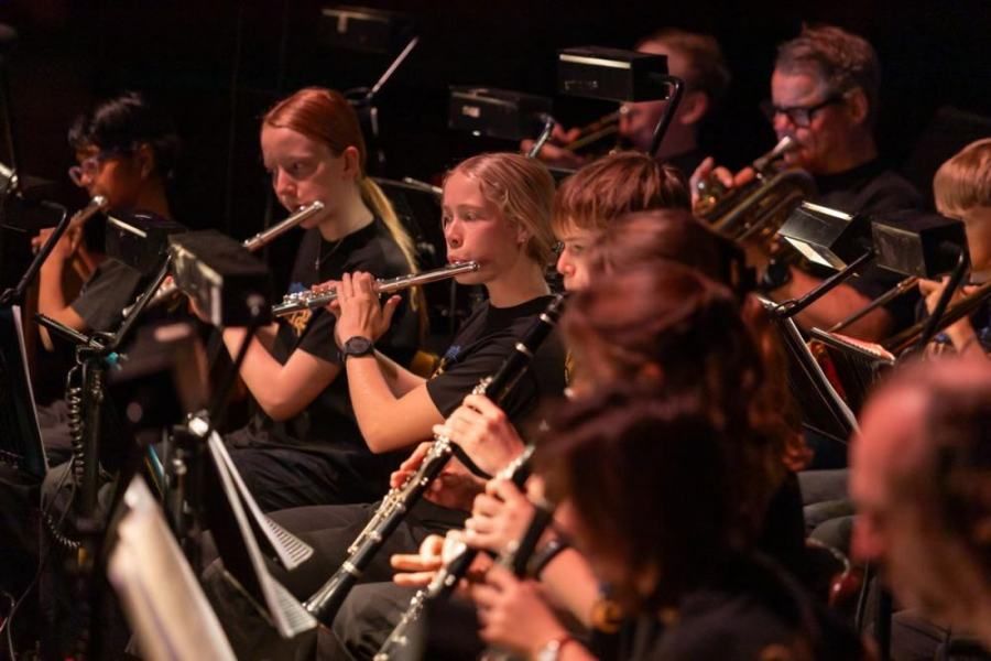 A group of people are playing instruments in an orchestra.