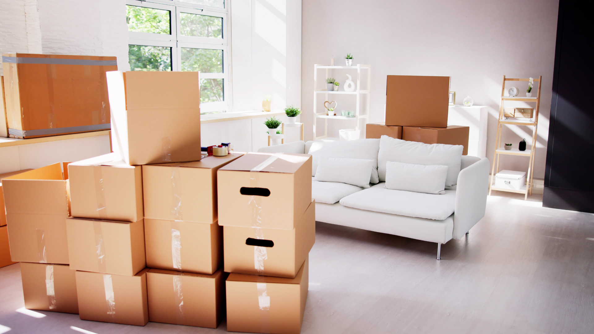 A living room filled with cardboard boxes and a white couch.