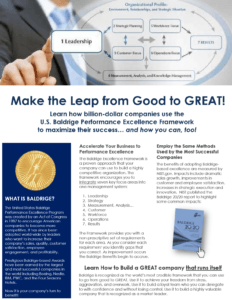 Process Review And Improvement — Brochure About Make The Leap in in Rockford, MI
