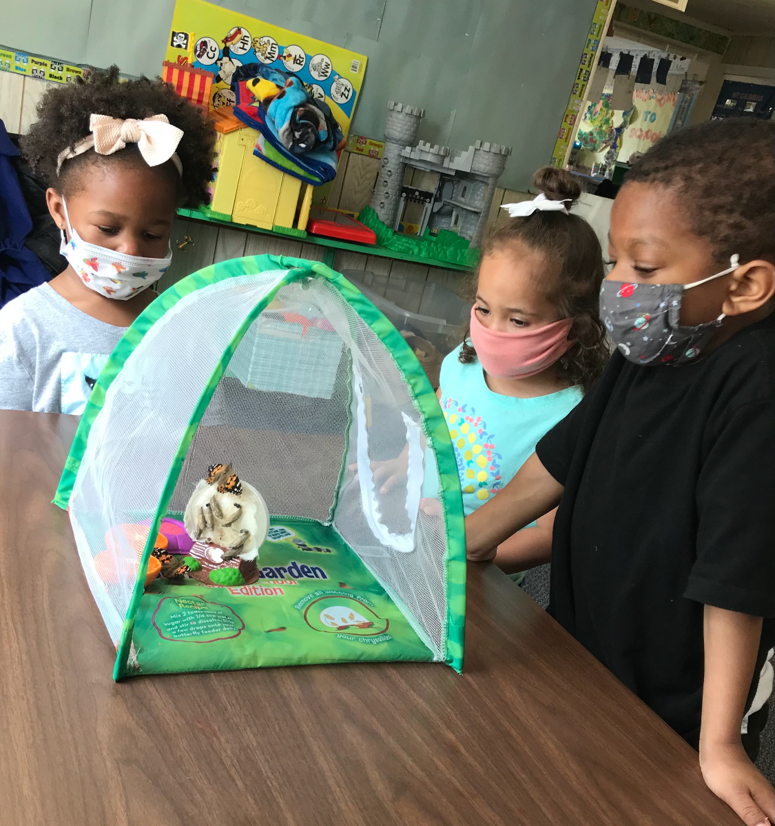 kindergarten classroom and kids