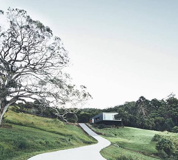 path with green lawn and trees