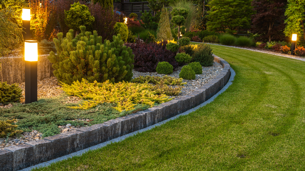 A landscaped garden bed with evergreen shrubs and yellow groundcover, bordered by stone edging next to a mown lawn.