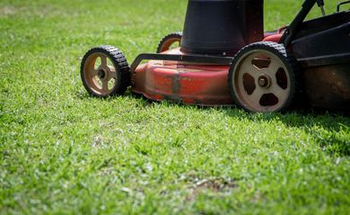 A red lawnmower moves across a vibrant green lawn.
