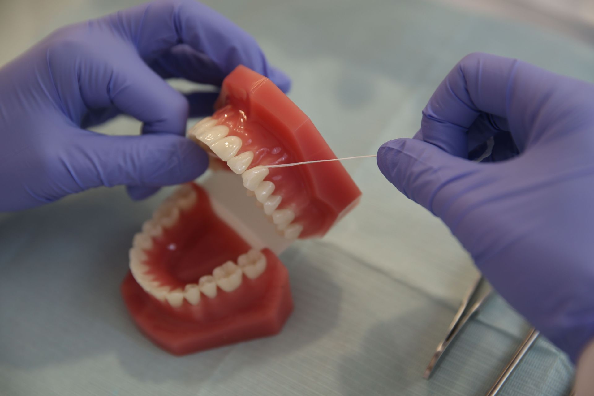 Gloved hands holding a red dental model with white teeth on a tabletop