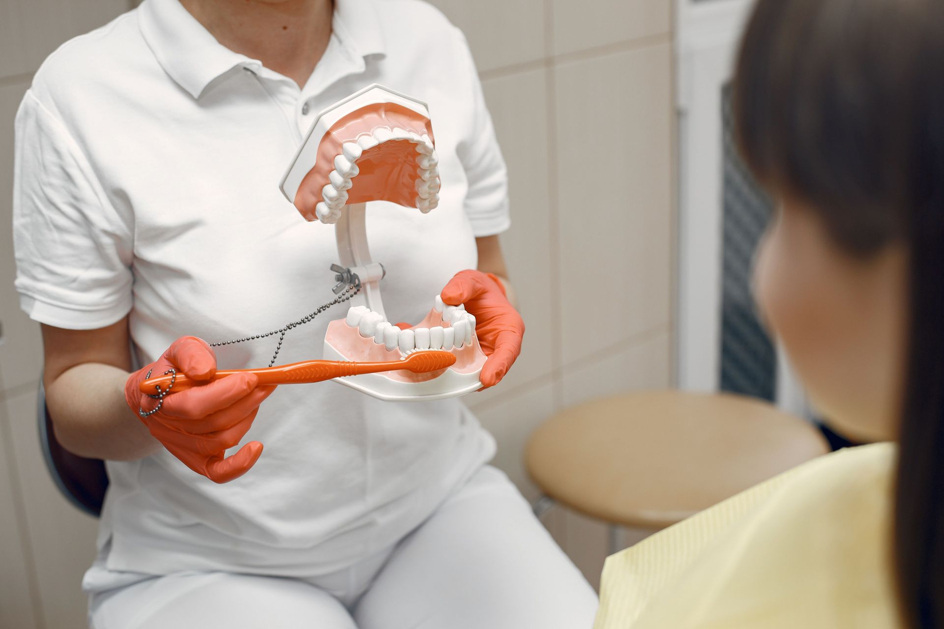 Doctor showing a pelvic anatomy model during a consultation with a patient