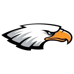 Eagle head with white, gray, and black feathers, orange beak, and blue eye.