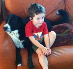 a dog and child sitting on a brown couch