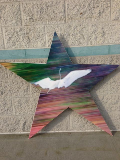 A colorful star with a white bird on it is hanging on a brick wall.