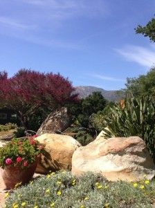 A garden with rocks , flowers and trees on a sunny day.