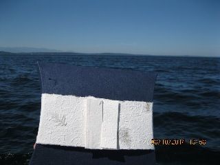 A blue and white pillow is sitting in front of a body of water.