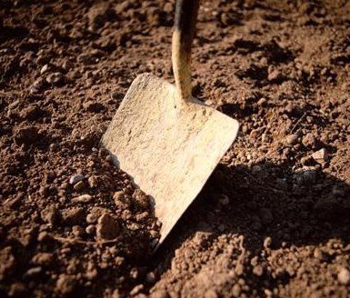 A shovel is sitting on top of a pile of dirt.