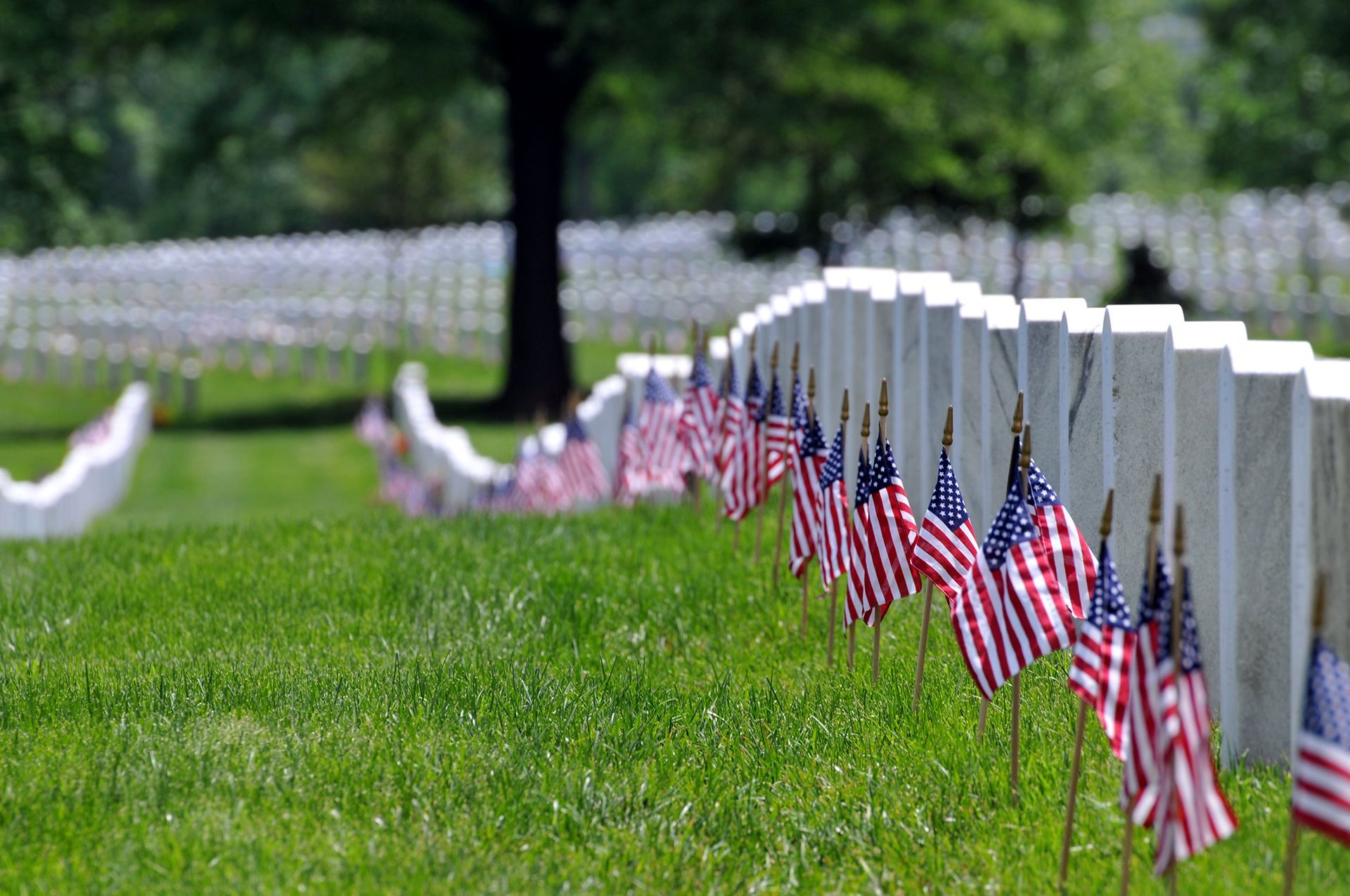 A row of graves with american flags in front of them in a cemetery.