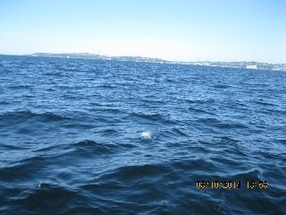 A boat is floating on top of a large body of water.