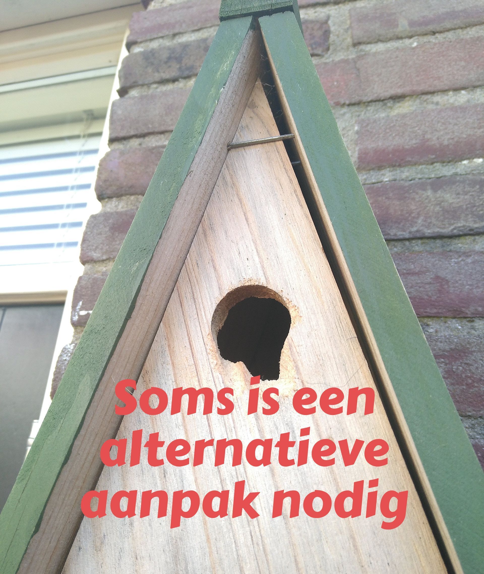 foto vogelhuisje