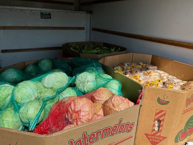 A box of watermelons is filled with bags of vegetables.