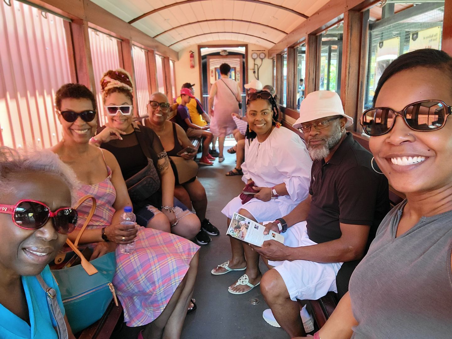 A group of people are sitting on a train and smiling.