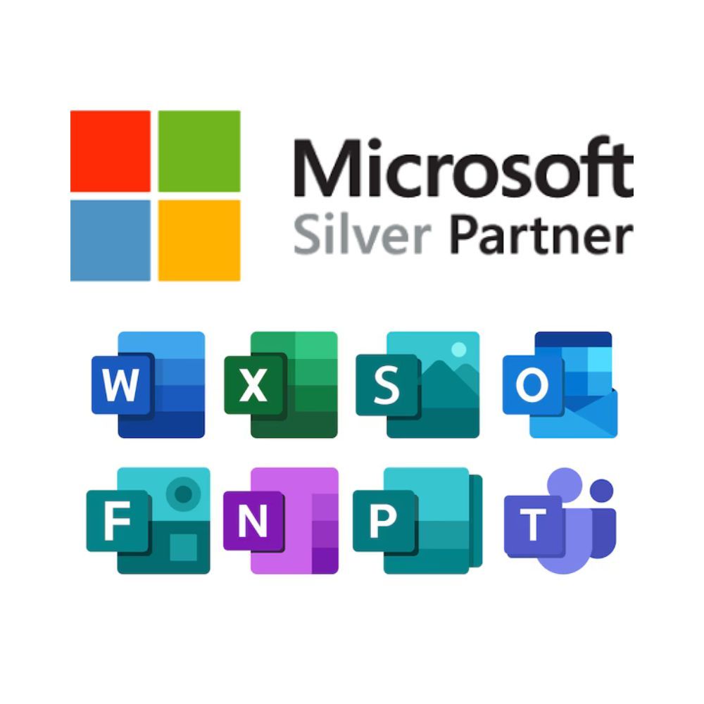 The microsoft silver partner logo is displayed on a white background.