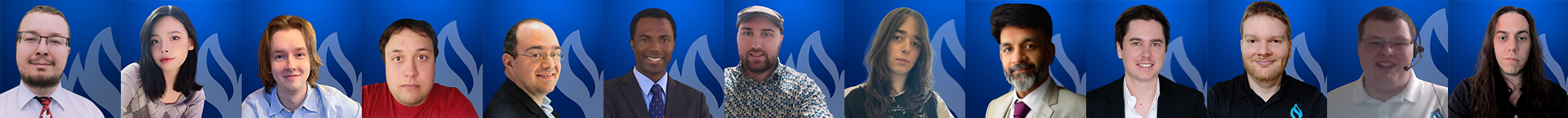 A collage of Digital Fire employees arranged side by side on a blue background.