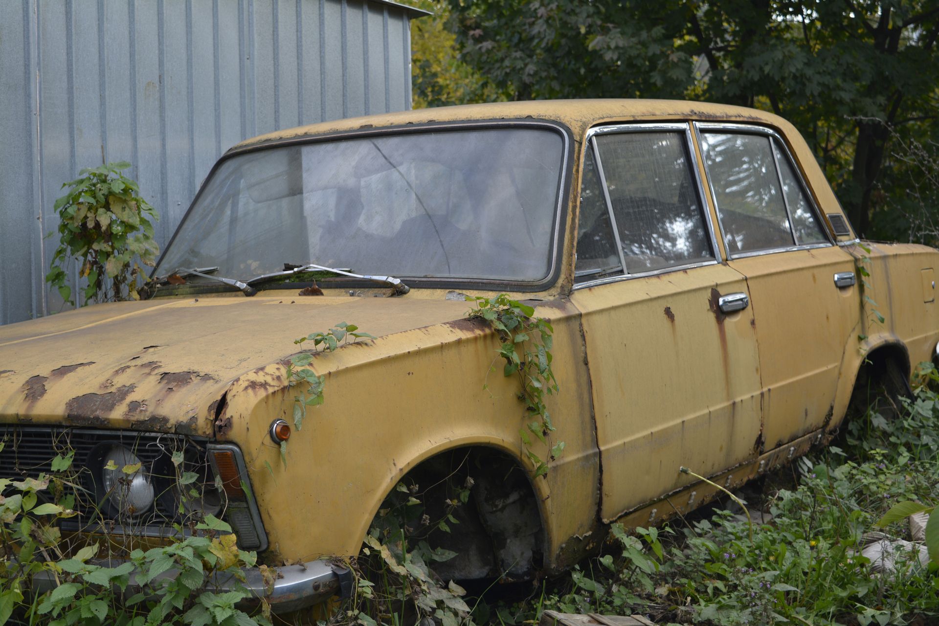 An old, rusty car left abandoned, perfect for cash for junk vehicles service to recycle responsibly.
