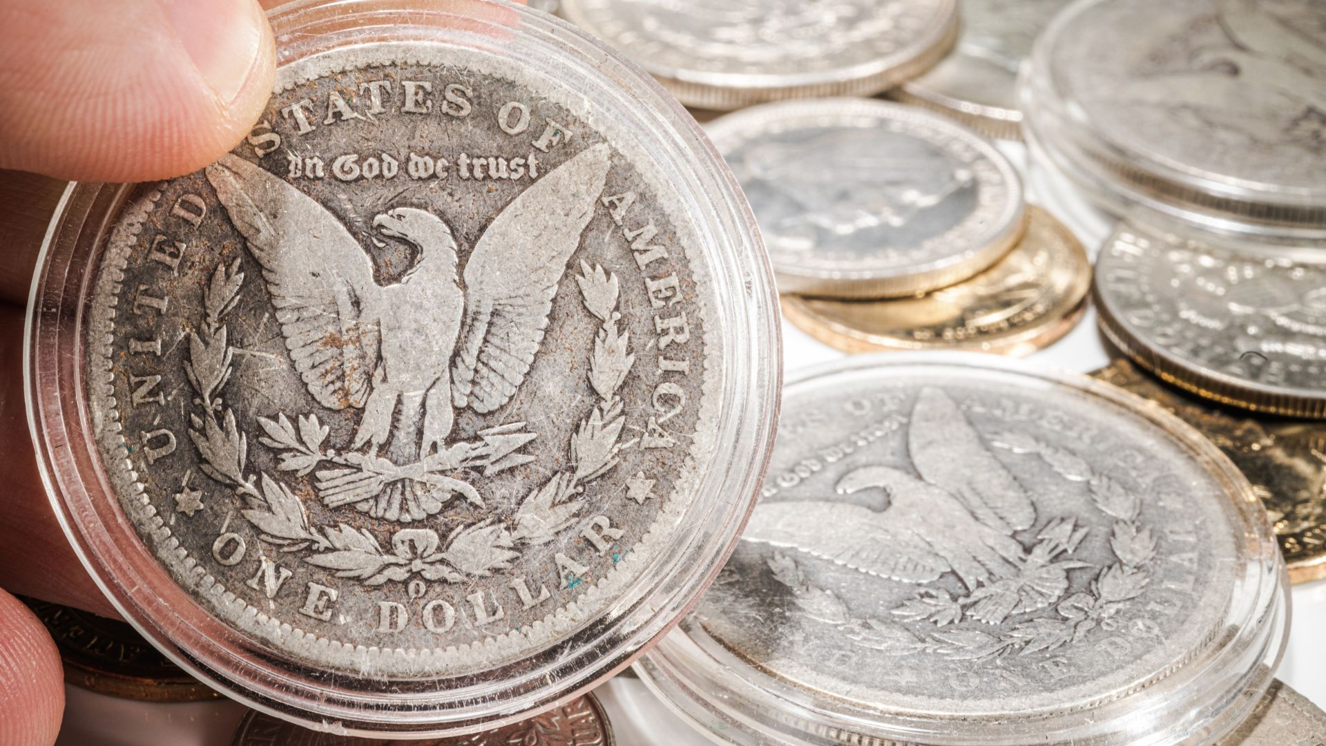 coin collector auctions