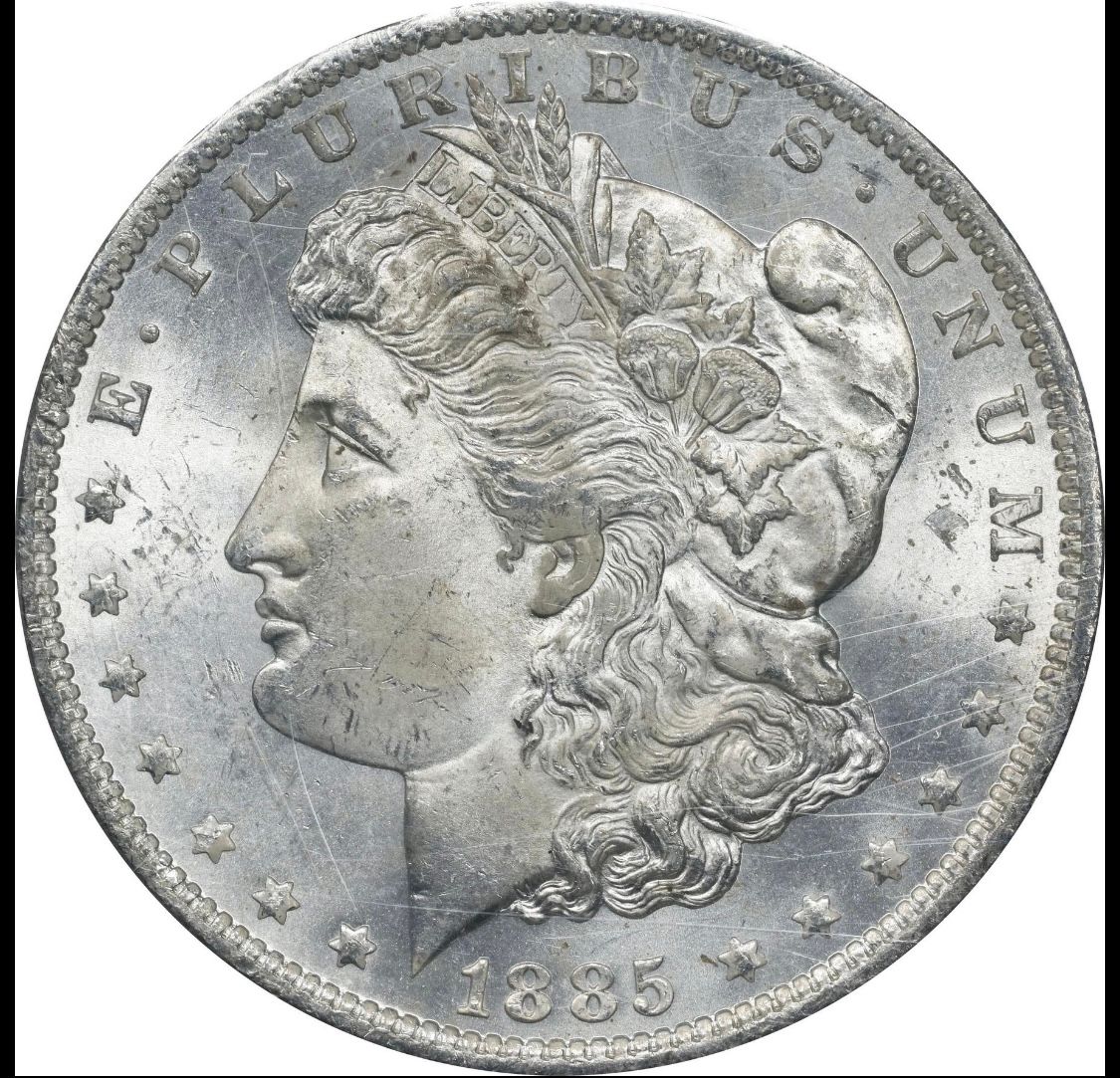 1886 Morgan Dollar