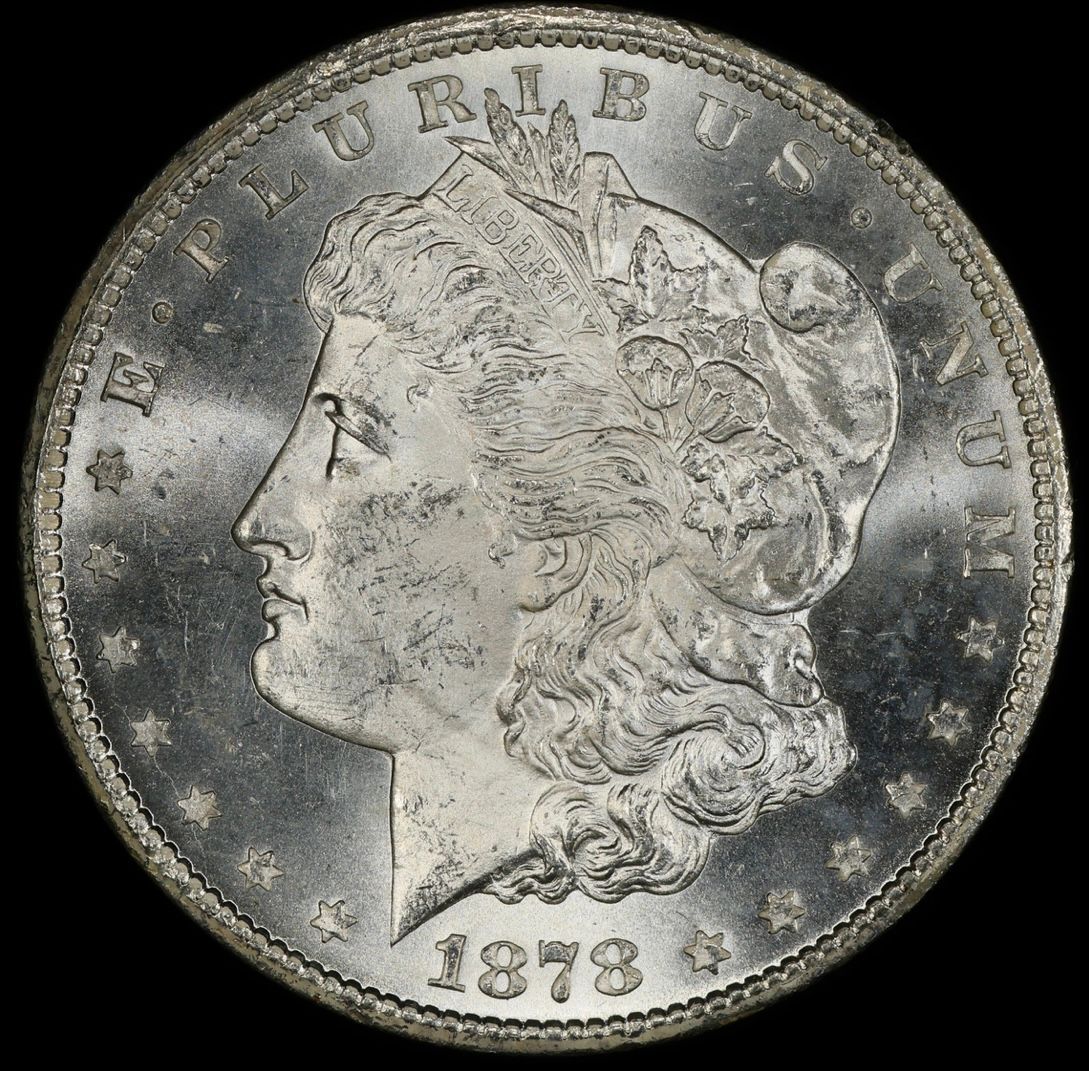 1886 Morgan Dollar
