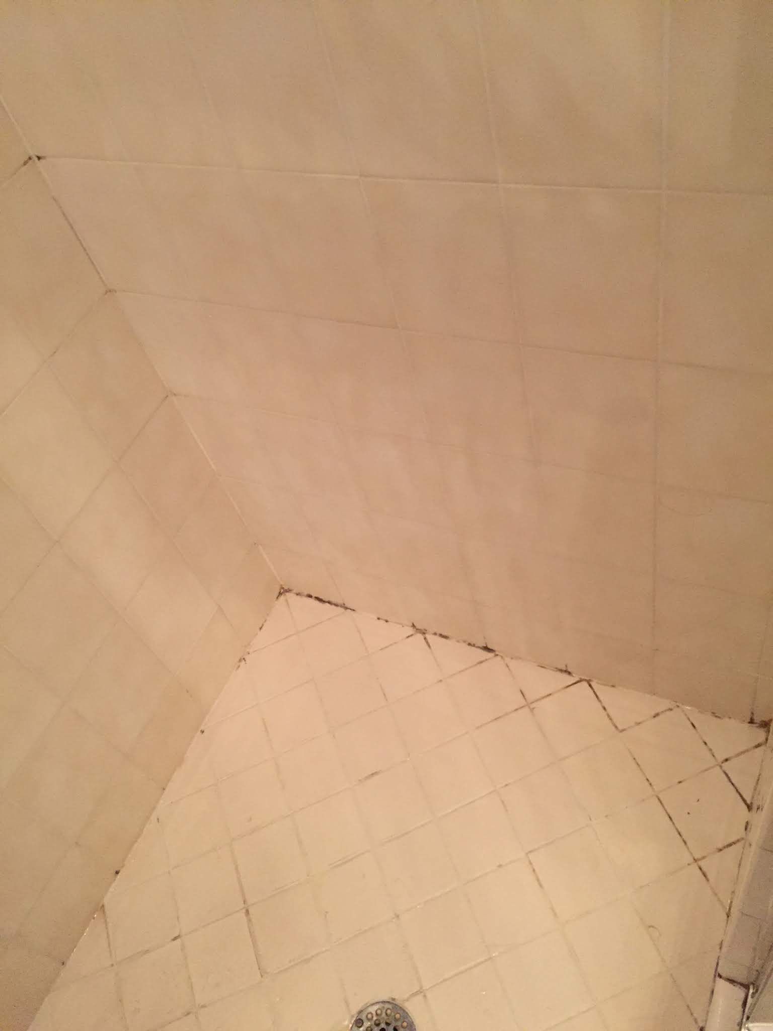 Shower interior with beige tiles, dark mold in the corner, and a drain visible.