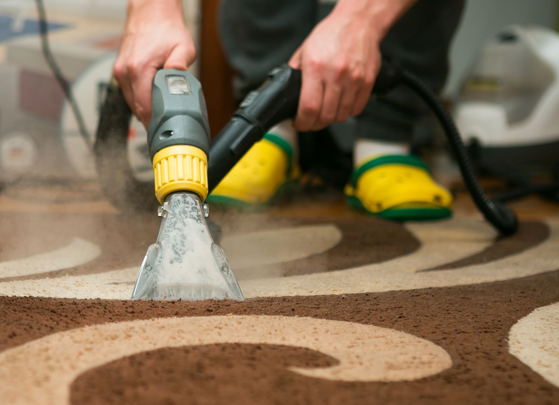 The process of cleaning carpets with a steam vacuum cleaner. An employee of a cleaning company cleans the carpet using steam.