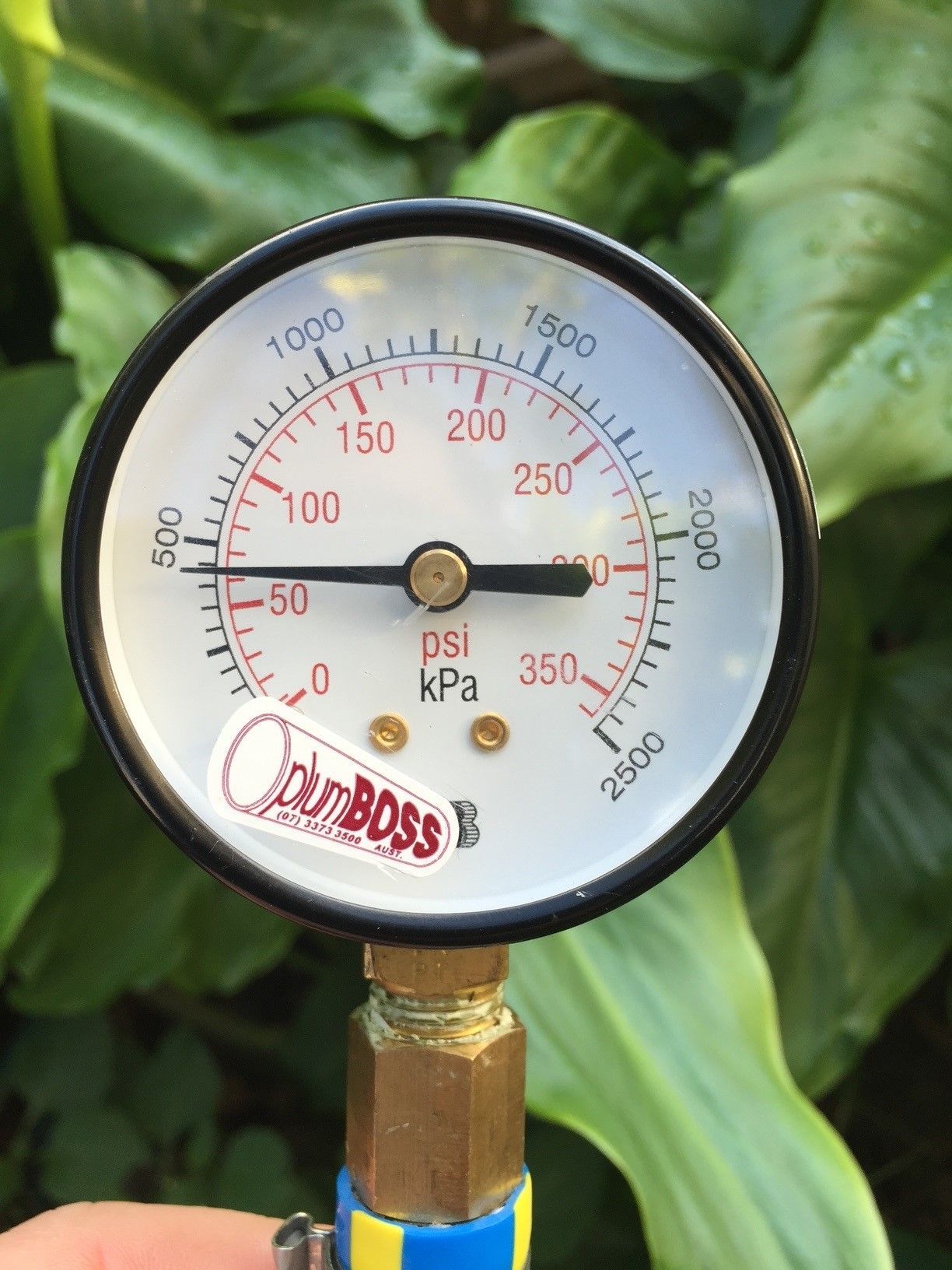 A person is holding a pressure gauge with a sticker that says plum boss