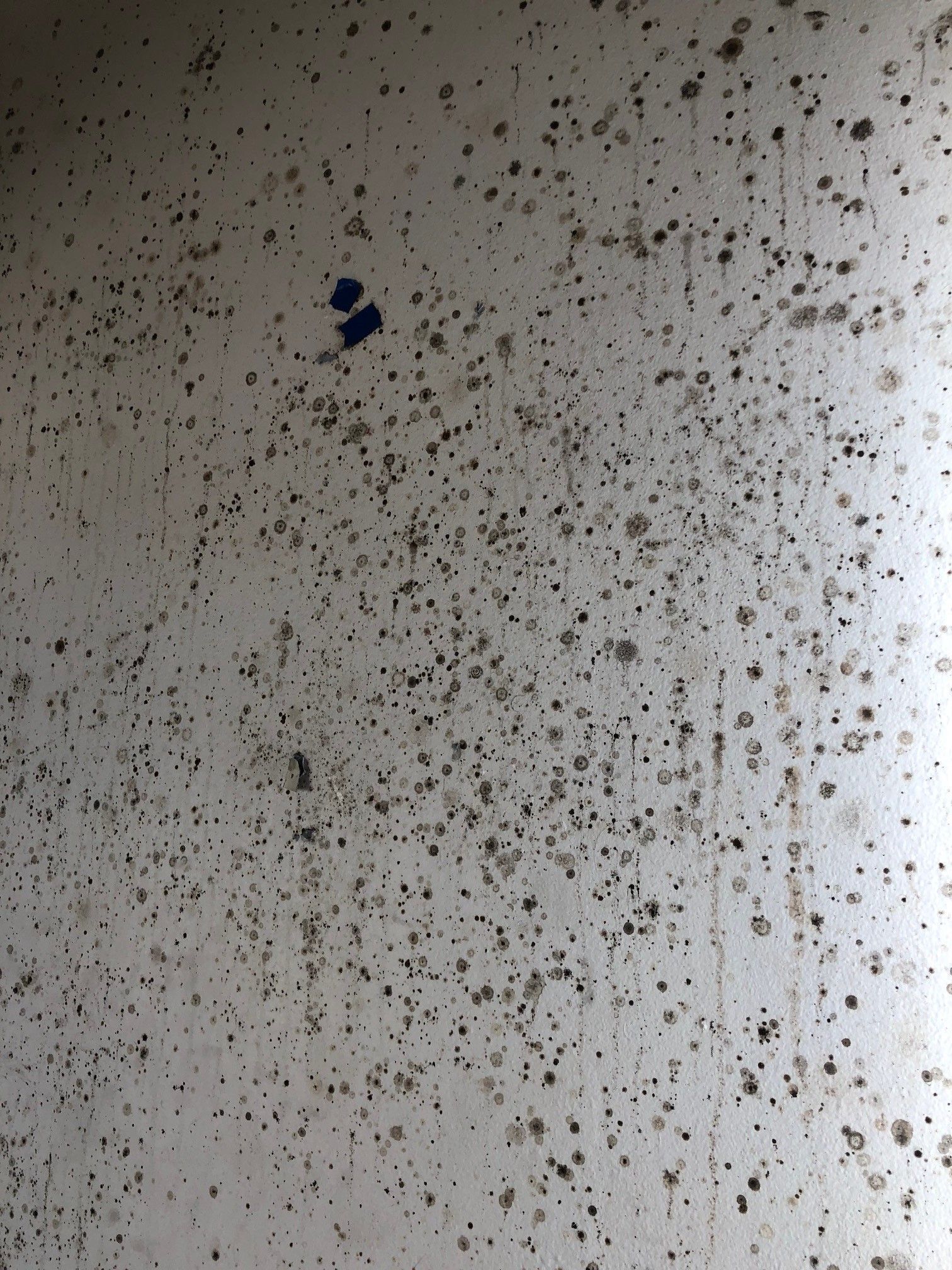 A person wearing yellow gloves is cleaning a wall with a spray bottle and a sponge.